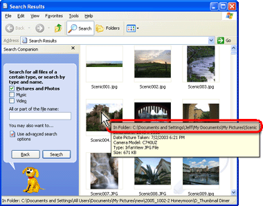 Click to zoom in on the Search results screenshot. Browsing search results. One photos is showing the picture info tooltip.